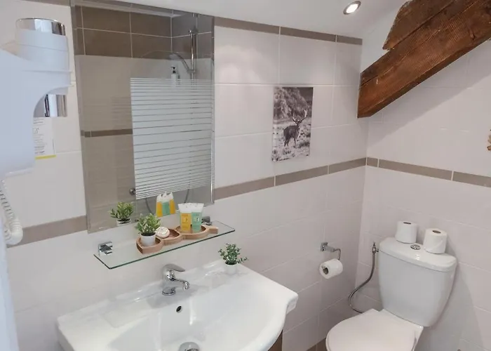 Hotel La Sapiniere Chamonix