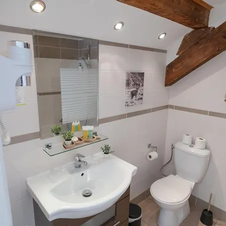 Hotel La Sapiniere Chamonix Mont Blanc